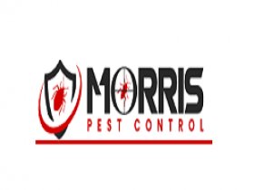 Morris Rodent Control Canberra