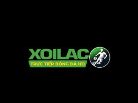 most-fit.com thao túng kết quả