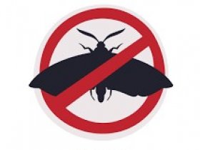 Moth Control Redland
