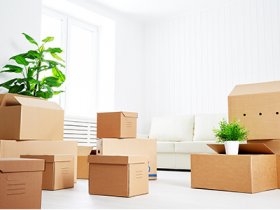 Moving Without Harming The Environment
