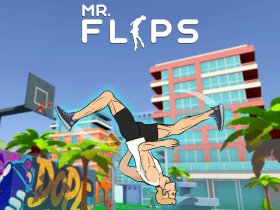 Mr Flip