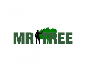 Mr Tree