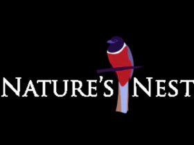 Natures Nest Goa
