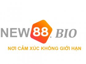 New88 Bio