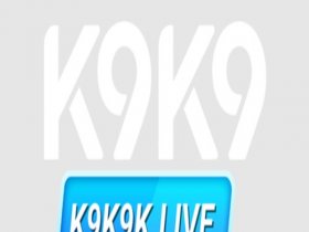 Nhà Cái K9K9