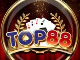 Nhà cái TOP88