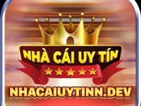 Nhacaiuytinn dev