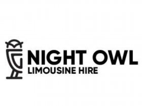 Night owl limousine hire