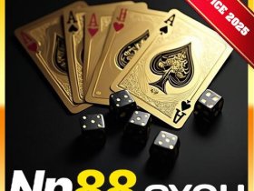 nn88cyou