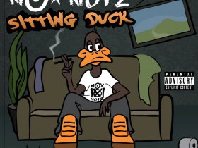 NOX NOIZ - Sitting Duck