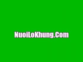 Nuôi Lô Khung