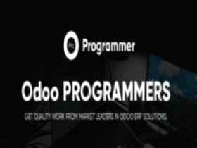 Odoo programmers