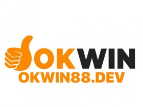 Okwin 88Dev