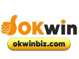 Okwin Bizcom