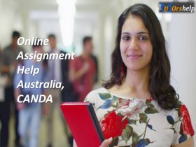 Online Assignment Help