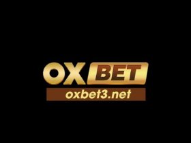 OXBET 3NET