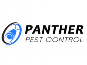 Panther Spider Control Brisbane