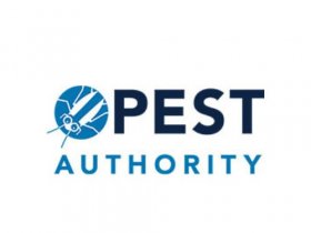 Pest Authority - Burgess