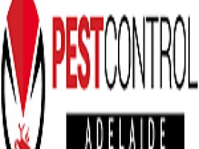 Pest Control Adelaide