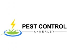 Pest Control Annerley