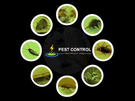 Pest Control Armstrong Creek