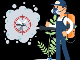 Pest Control Balwyn