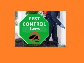 Pest control Banyo