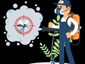 Pest Control Bendigo