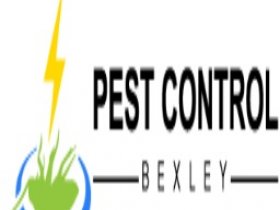 Pest Control Bexley