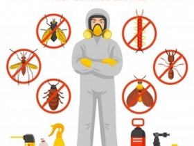 Pest Control Bracken Ridge