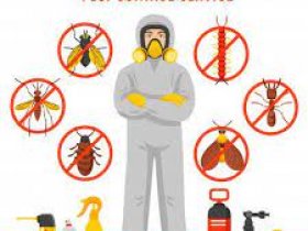 Pest Control Bridgeman Downs