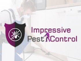 Pest Control Brisbane