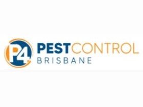 Pest Control Brisbane