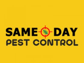 Professional Pest Control Canberra