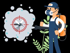 Pest Control Dee Why