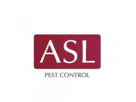 Pest Control Enmore