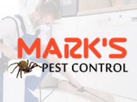 Pest Control Frankston