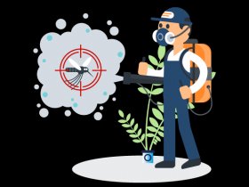 Pest Control Katoomba