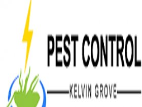 Pest Control Kelvin Grove