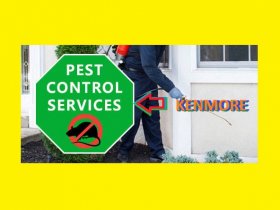 Pest Control Kenmore