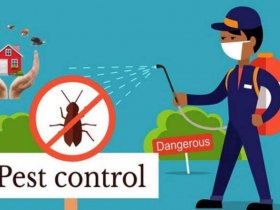 Pest Control Lidcombe