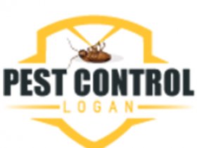 Pest Control Logan