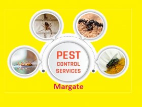 Pest Control Margate