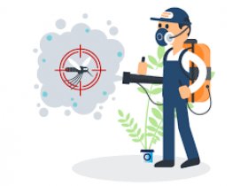 Pest Control Moorooka