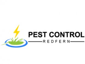 Pest Control Redfern