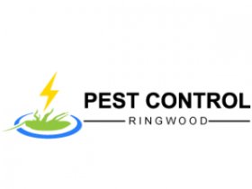 Pest Control Ringwood