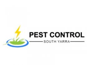 Pest Control South Yarra