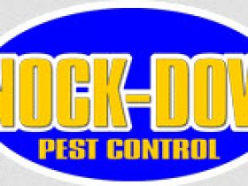 Pest control Sydney - Knockdown Pest Con