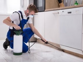 Pest Removal Geelong