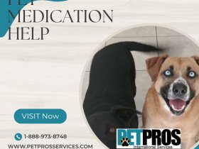 Pet Medication Help  - Petpros Services